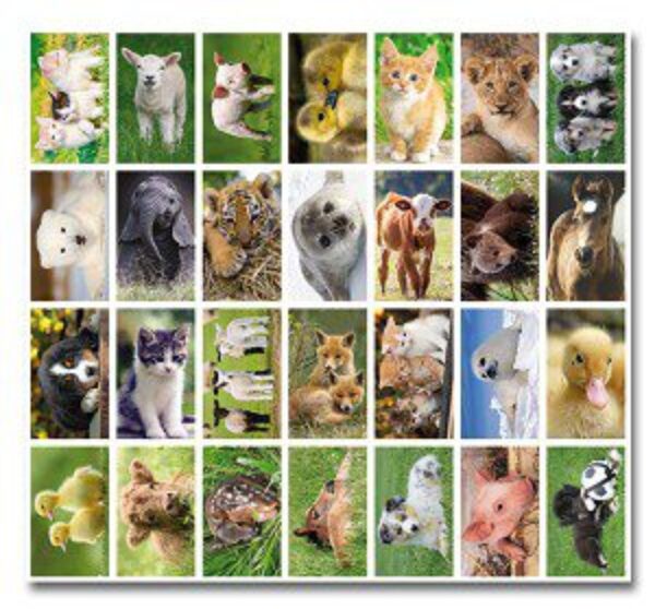 Stickers serie 108 – baby dieren foto 2