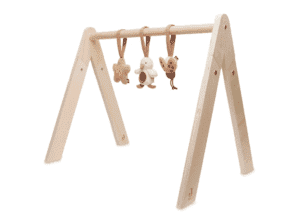 Jollein Babygym Speeltjes - Spring Garden