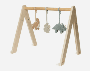 Babygym Speeltjes - Roarsome